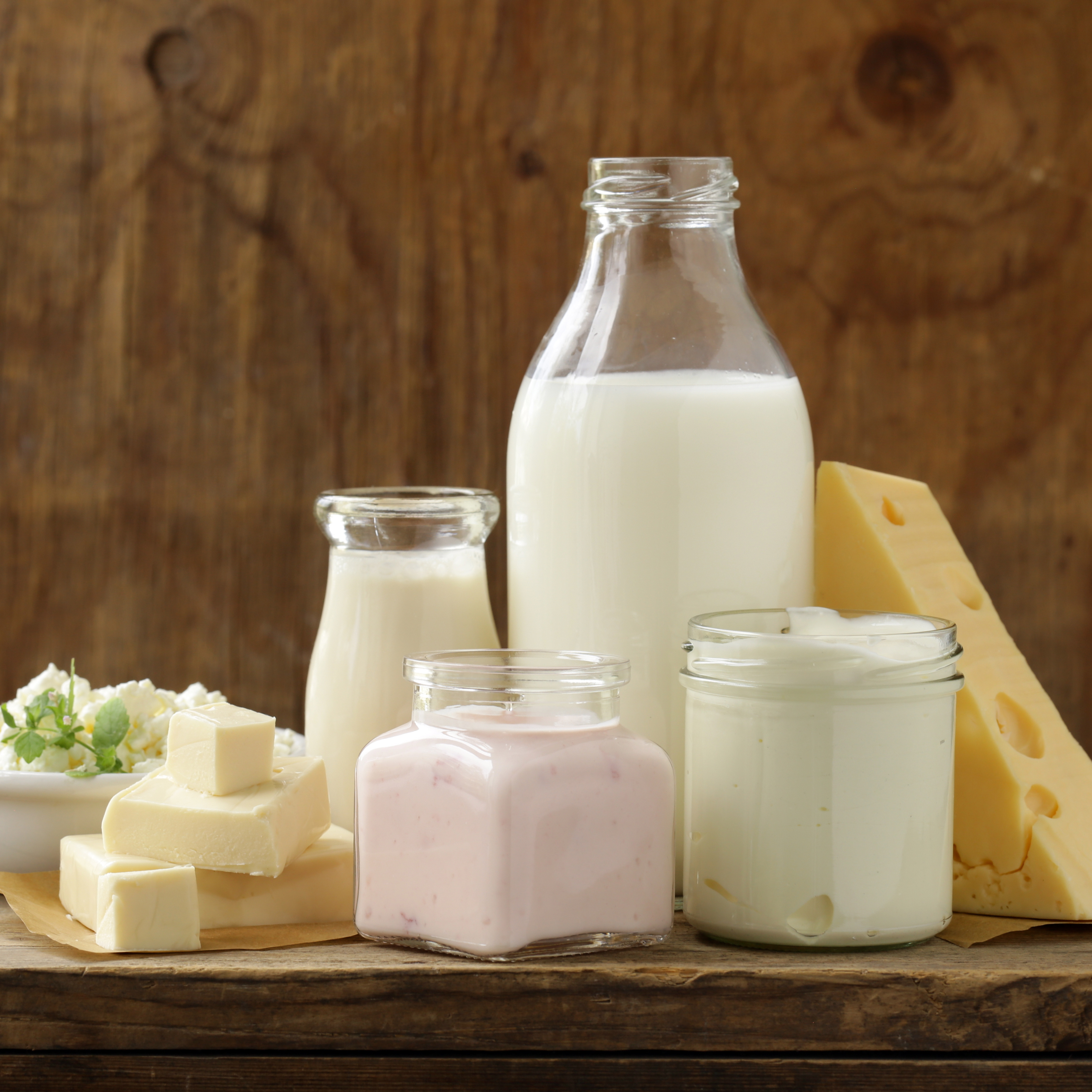 dairy products