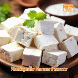 paneer