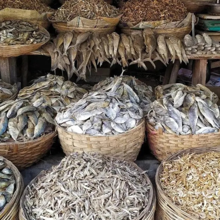 dry fishes & Prawns