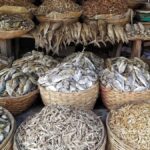 dry fishes & prawns